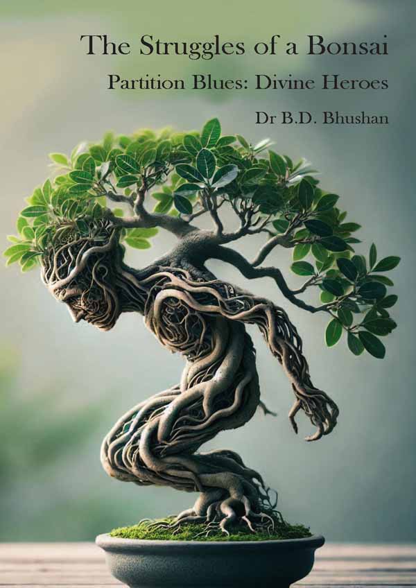 Self-published book cover design — personal memoir, Magnum Custom Publishing New Delhi